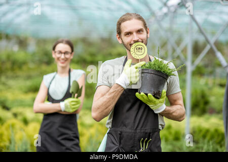 Giardiniere con piante in serra Foto Stock