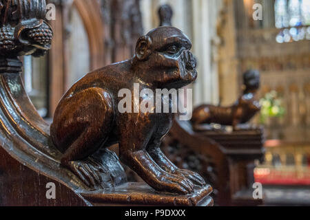 Monkey alla fine del coro in una chiesa Foto Stock