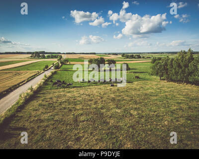 Le mucche al pascolo su pascolo verde sotto il blu cielo molto nuvoloso Foto Stock