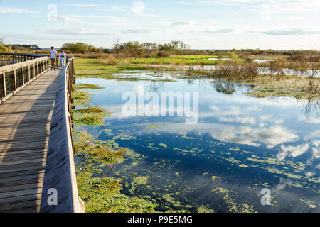 Gainesville Florida, Micanopy, Paynes Prairie, LaChua Trail Trailhead, Alachua Sink, parco statale, passeggiata sulla natura rialzata, prateria paludi palude, uomo maschio Foto Stock