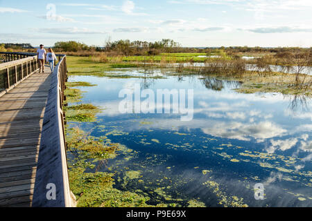 Gainesville Florida, Micanopy, Paynes Prairie, LaChua Trail Trailhead, Alachua Sink, parco statale, passeggiata sulla natura rialzata, praterie paludi, adulti Foto Stock