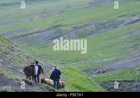 Pecore e pastori vicino Xinaliq, Azerbaigian, un remoto villaggio di montagna nel Caucaso maggiore gamma Foto Stock