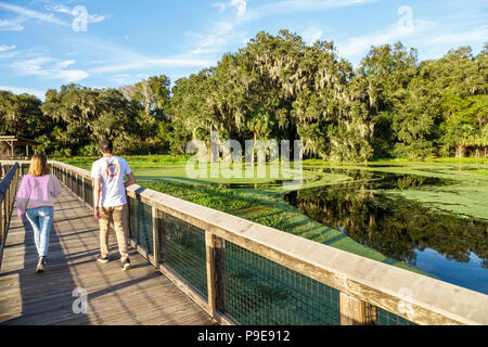 Gainesville Florida, Paynes Prairie, LaChua Trail Trailhead, Alachua Sink, parco statale, passeggiata sulla natura rialzata, prateria palude paludi uomo donna maschio femmina Foto Stock