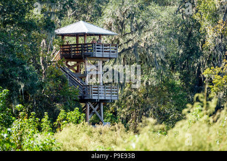 Gainesville Florida, Micanopy, Paynes Prairie Ecopassage Nature Preserve state Park, Observation Tower, National Natural Landmark, al Conservation, Wacahoot Foto Stock