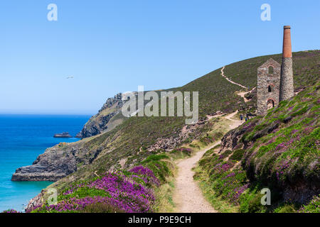 Wheal coates vecchia miniera di stagno sul cliffside vicino a St Agnes Cornwall Regno Unito estate Foto Stock