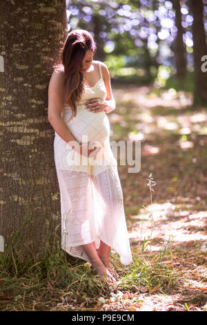 Giovane donna incinta mentre tiene il suo bambino bump fuori nei boschi Foto Stock