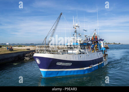 La pesca a strascico barca entrando nel porto di Saint-Vaast-la-Hougue, Manche department, Normandia, Francia Foto Stock