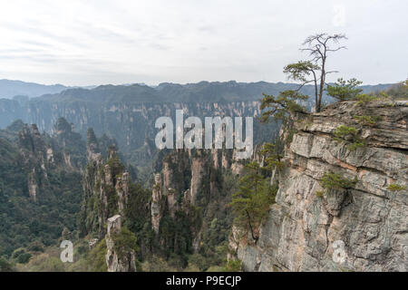 Paesaggio di Zhangjiajie. Preso dal Vecchio Campo a casa. Situato in Wulingyuan Area d'interesse storico e paesaggistico che è stato designato come un Sito Patrimonio Mondiale dell'UNESCO come pure AAAAA scenic area in Cina. Foto Stock