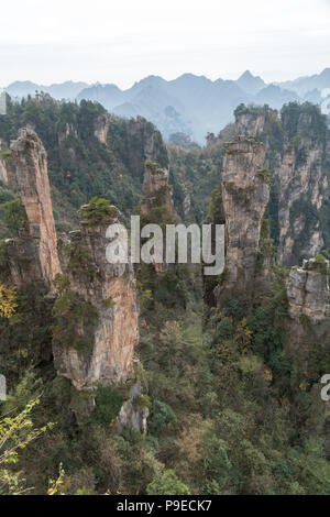 Paesaggio di Zhangjiajie. Preso dal Vecchio Campo a casa. Situato in Wulingyuan Area d'interesse storico e paesaggistico che è stato designato come un Sito Patrimonio Mondiale dell'UNESCO come pure AAAAA scenic area in Cina. Foto Stock