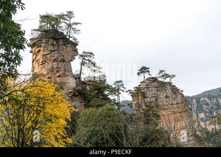 Paesaggio di Zhangjiajie. Preso dal Vecchio Campo a casa. Situato in Wulingyuan Area d'interesse storico e paesaggistico che è stato designato come un Sito Patrimonio Mondiale dell'UNESCO come pure AAAAA scenic area in Cina. Foto Stock