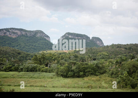 Vista della bella mogotes e la Valle di Viñales. Foto Stock