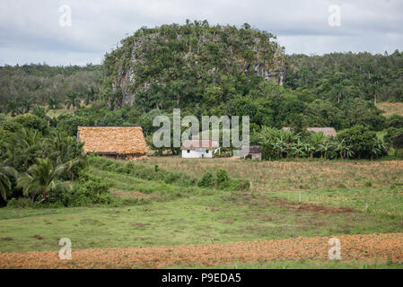 Vista della bella mogotes e la Valle di Viñales. Foto Stock