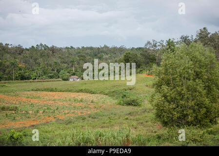 Vista della bella mogotes e la Valle di Viñales. Foto Stock