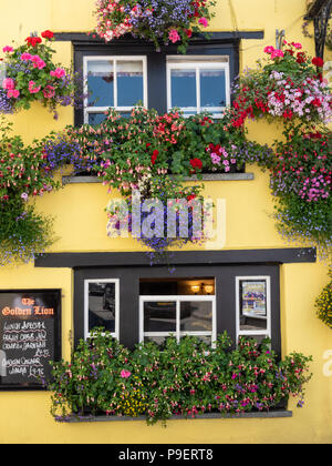 Una splendida finestra caselle e i fiori in mostra presso il Golden Lion Hotel e pub a Padstow Cornwall Regno Unito Foto Stock