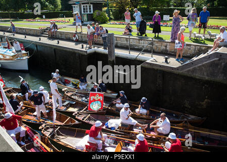 Shepperton, Regno Unito. 16 Luglio, 2018. Swan aumentando le navi che passano attraverso Shepperton bloccare il primo giorno della sessione annuale della commissione per cinque giorni di cerimoniale di Swan censimento batte in volata sul fiume Tamigi. Swan batte in volata richiede la raccolta, la marcatura e il rilascio di tutti i cygnets o cigni, sul fiume. Essa risale a più di 800 anni fa, quando la corona rivendicato la proprietà di tutti i cigni. Il primo giorno del censimento avviene tra Sunbury e Windsor. Credito: Mark Kerrison/Alamy Live News Foto Stock