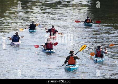 Shepperton, Regno Unito. 16 Luglio, 2018. Kayakers sul fiume Tamigi. Credito: Mark Kerrison/Alamy Live News Foto Stock