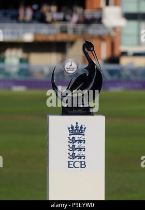 Emerald Headingley, Leeds, Regno Unito. 17 Luglio, 2018. International un giorno il cricket, tra Inghilterra e India; il Royal London un giorno trophy serie sul credito display: Azione Plus sport/Alamy Live News Foto Stock