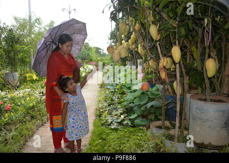 (180718) --- DHAKA, luglio 18, 2018 (Xinhua) - Visitatori Visualizza piante, alberi e alberelli in Bangladesh mese-lungo albero nazionale fiera in capitale Dacca, il 18 luglio 2018. (Xinhua)(rh) Foto Stock