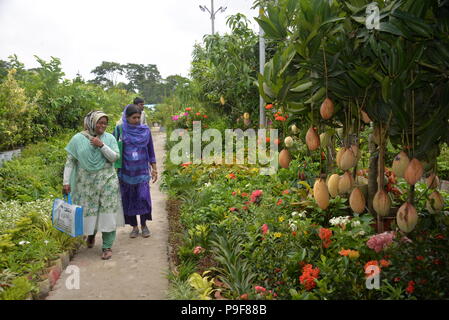 (180718) --- DHAKA, luglio 18, 2018 (Xinhua) - Visitatori Visualizza piante, alberi e alberelli in Bangladesh mese-lungo albero nazionale fiera in capitale Dacca, il 18 luglio 2018. (Xinhua)(rh) Foto Stock