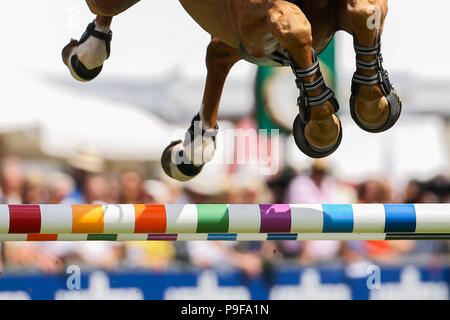 Germania, Aachen. 18 Luglio, 2018. CHIO, Equestre, Show Jumping. Un cavallo saltando su una barriera. Credito: Rolf Vennenbernd/dpa/Alamy Live News Foto Stock