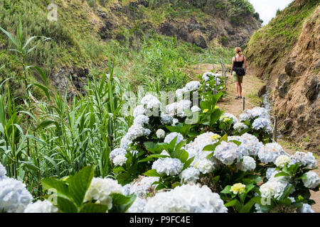 Una donna che cammina su un sentiero costiero sulla costa nord di Sao Miguel, Azzorre Foto Stock