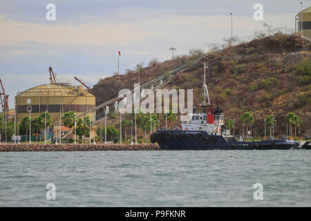 Relazione del porto di pesca di Guaymas Sonora. Reportaje del puerto pesquero de Guaymas Sonora. Foto Stock