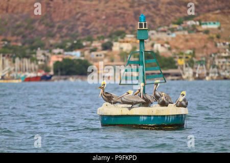 Relazione del porto di pesca di Guaymas Sonora. Reportaje del puerto pesquero de Guaymas Sonora. Foto Stock