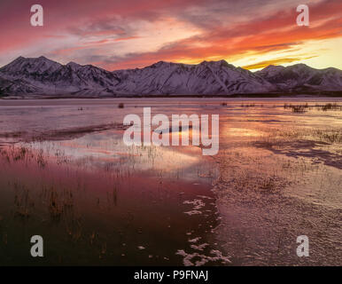 Tramonto, Crowley Lago, Inyo National Forest, Sierra orientale, California Foto Stock