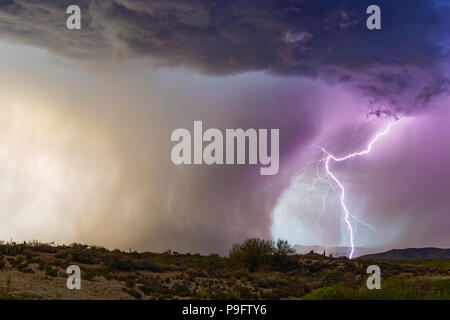 Drammatico fulmine e potente microroppa da un temporale monsonico nei pressi di Firenze, Arizona Foto Stock