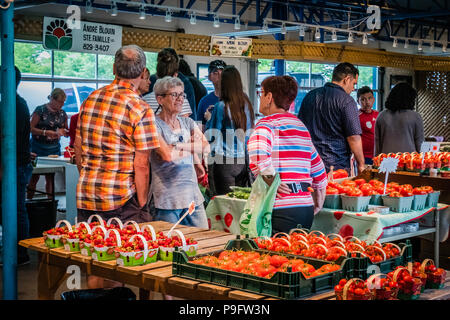 Gli agricoltori locali del mercato della città di Québec in Canada Foto Stock