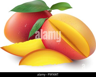 Il Mango. Intere e pezzi. Vettore 3D imposta illustrazione. Illustrazione Vettoriale