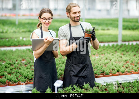 Workkers con tavoletta digitale in serra Foto Stock