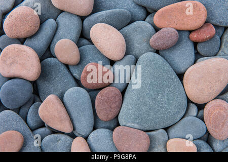 Acciottolato, Perry Bay, Sleeping Giant Parco Provinciale, Ontario, Canada, da Bruce Montagen/Dembinsky Foto Assoc Foto Stock