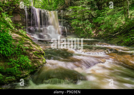 Sheldon Reynolds cade, Ricketts Glen State Park, Pennsylvania, STATI UNITI D'AMERICA Foto Stock