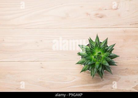 Vasi di aloe vera sul tavolo Foto Stock