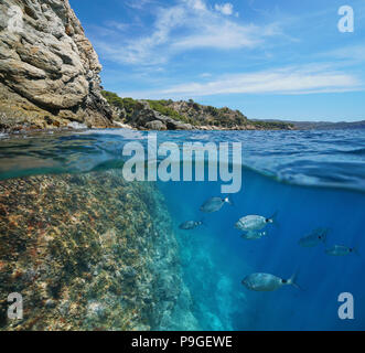 Mare Mediterraneo costa rocciosa con pesce subacquea, vista suddivisa al di sopra e al di sotto della superficie dell'acqua, spagna Costa Brava, rose, Punta Falconera, la Catalogna Foto Stock