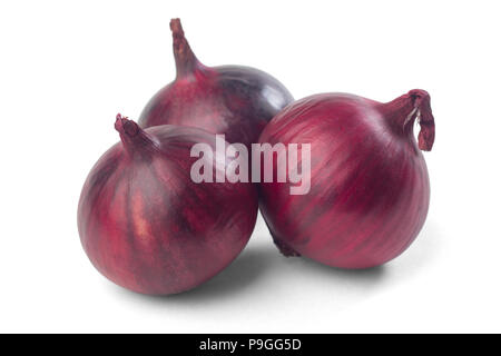 Mature le cipolle rosse su sfondo bianco Foto Stock