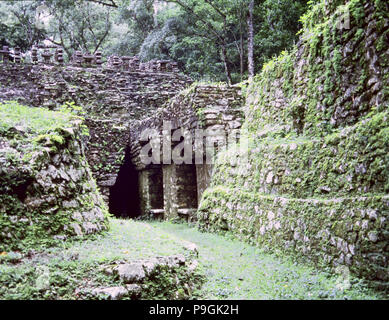 Panoramica davanti al tempio di labirinto in Yaxchilan. Foto Stock