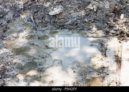 Gita a Shapsugskaya zona anomala - fanghi geyser Solonetzes (Solontci) in Abinsk colline ai piedi delle montagne del Caucaso in Kuban regione della Russia Foto Stock