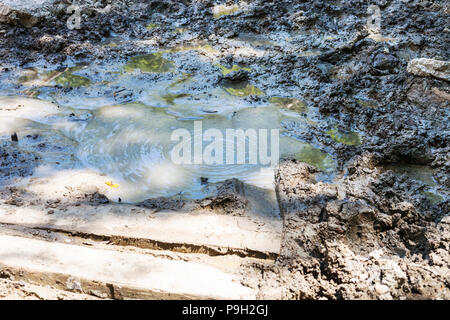 Gita a Shapsugskaya zona anomala - mudpot Solonetzes (Solontci) in Abinsk colline ai piedi delle montagne del Caucaso in Kuban regione della Russia Foto Stock