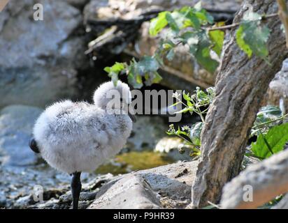Splendidi paesaggi e vedute della città, Foto Stock