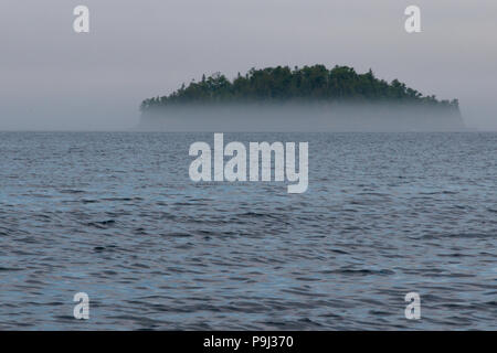 Piccola isola di grigio (Isola Centrale) nelle prime ore del mattino la nebbia e la pioggia sulla penisola di Bruce Foto Stock