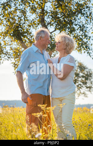 Romantico coppia senior tenendo le mani mentre si cammina insieme Foto Stock