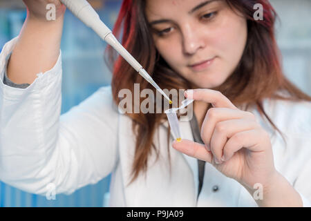 Donna con tecnico multipipette nel laboratorio di genetica ricerca PCR. Ragazza dello studente usare una pipetta Foto Stock