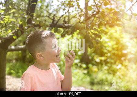 Ragazzo felice circa la raccolta di carni bio apple in una fattoria Foto Stock