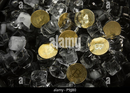 Golded bitcoins su ghiaccio sfondo. Il concetto di scambio in inverno. Congelare. Blockchain mining. Denaro digitale e virtual cryptocurrency concetto. Iinvestment. Affari, commerciali. Foto Stock