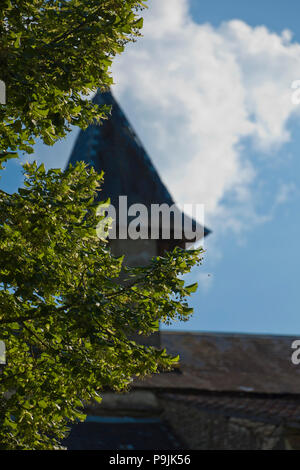 Albero di quercia di fronte al campanile della chiesa di San Marziale un borgo della comunità di Varen, Tarn et Garonne, Occitanie, Francia in estate. Foto Stock