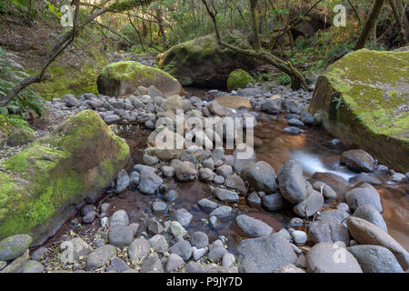 Montagne Drakensberg, Kwazulu Natal, Sud Africa Foto Stock