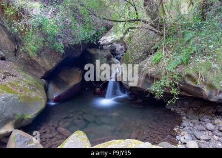 Montagne Drakensberg, Kwazulu Natal, Sud Africa Foto Stock