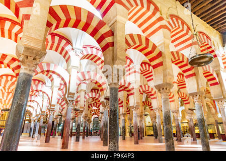 Colonne di Moresco nella moschea-cattedrale di Cordoba, Andalusia, Spagna Foto Stock